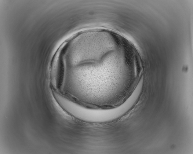 X0000096171524200802081359