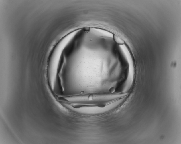 X0000096171525200802081359