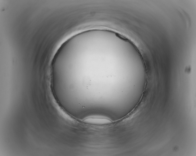 X0000096171526200802081359