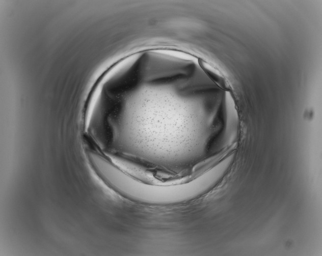 X0000096171527200802081359