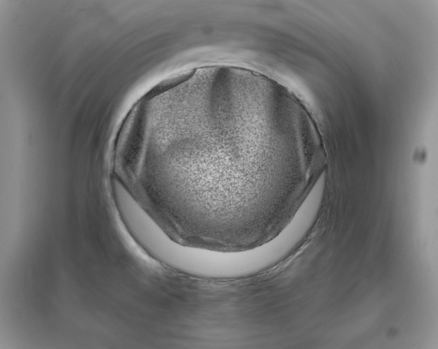 X0000096171528200802081359