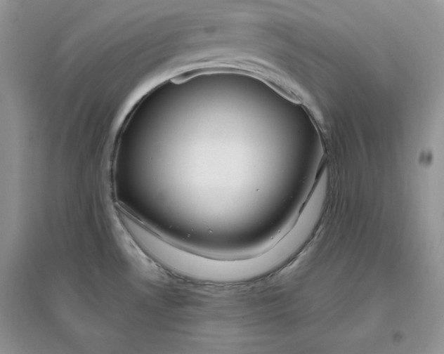 X0000096171530200802081359