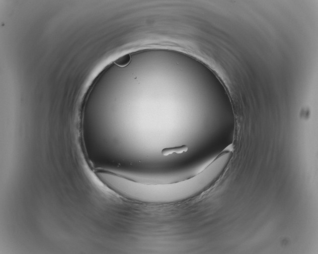 X0000096171531200802081359