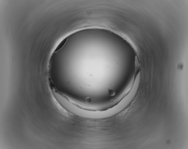 X0000096171532200802081400