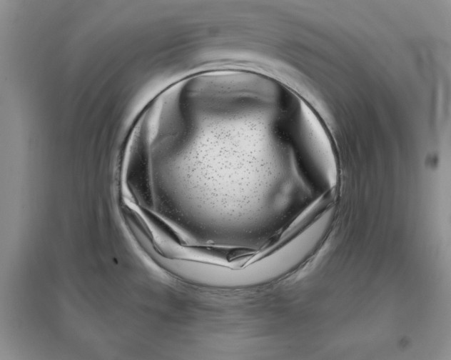 X0000096171533200802081400