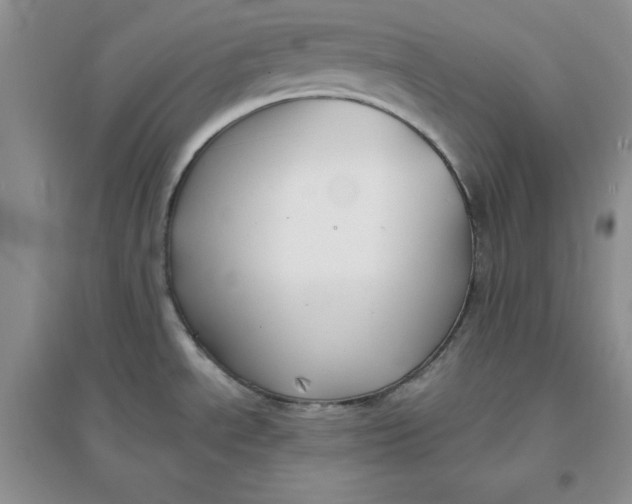 X0000096171534200802081400