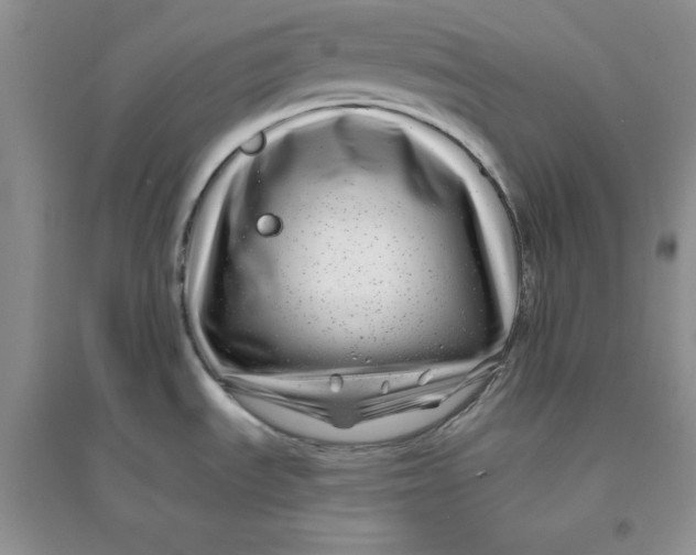 X0000096171535200802081400