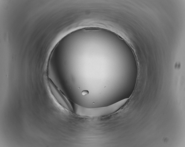 X0000096171536200802081400