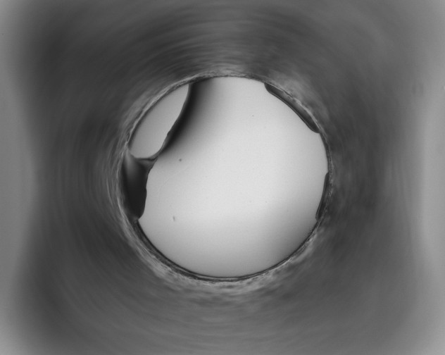X0000096170001200802151444