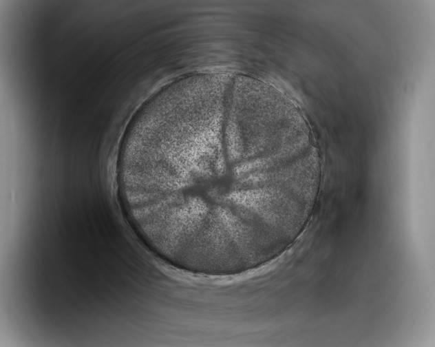 X0000096170002200802151444