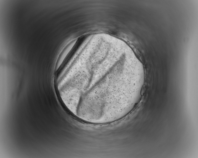 X0000096170003200802151444