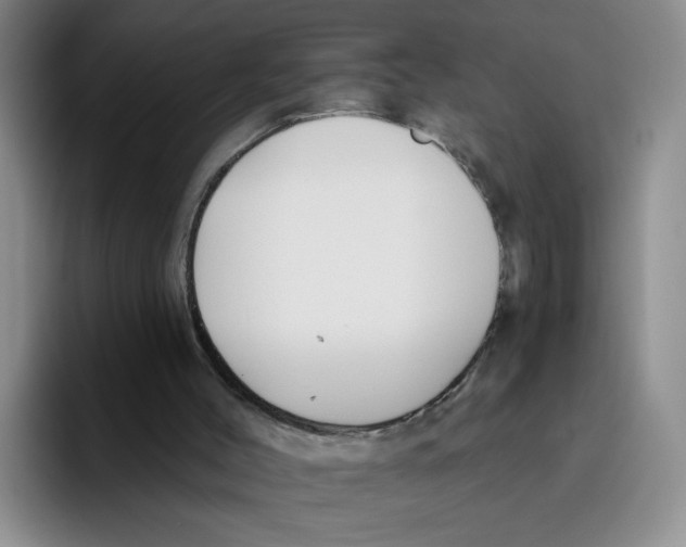 X0000096170004200802151444