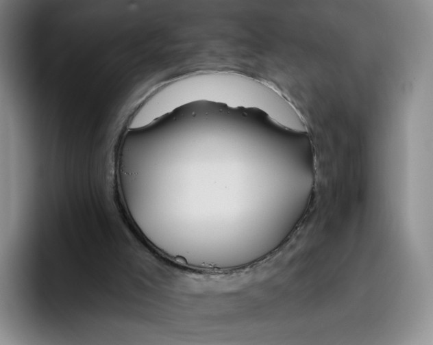 X0000096170005200802151444