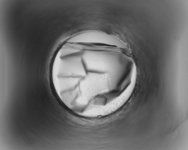 X0000096170006200802151444
