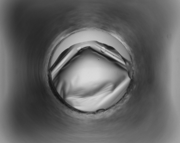 X0000096170007200802151444