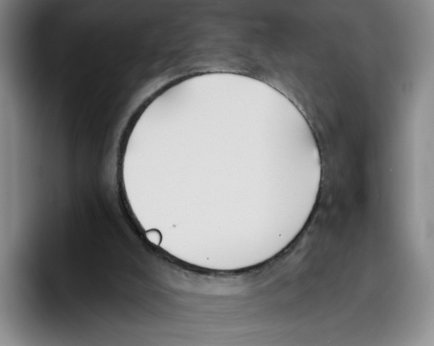 X0000096170008200802151444