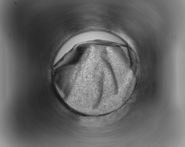 X0000096170009200802151444