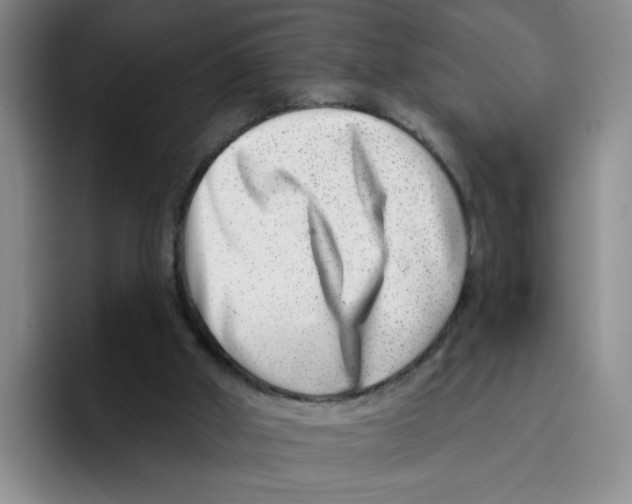 X0000096170010200802151444
