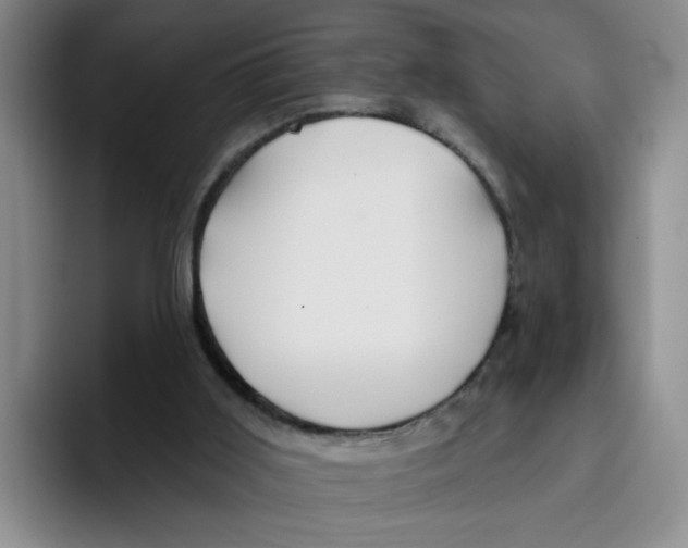 X0000096170011200802151444