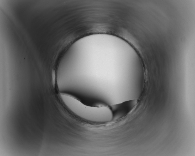 X0000096170013200802151444