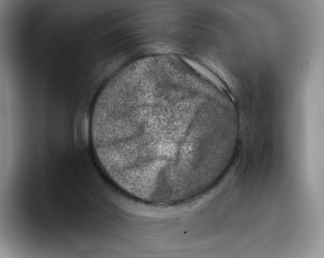 X0000096170014200802151444