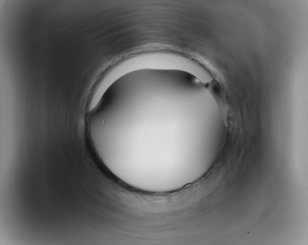 X0000096170015200802151444