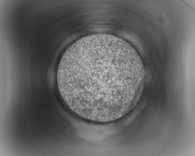 X0000096170016200802151444