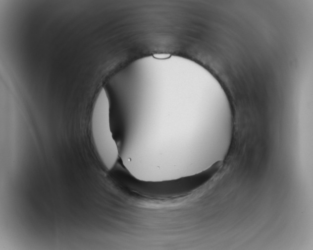 X0000096170017200802151444