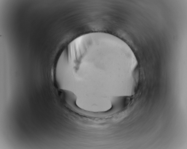 X0000096170019200802151444