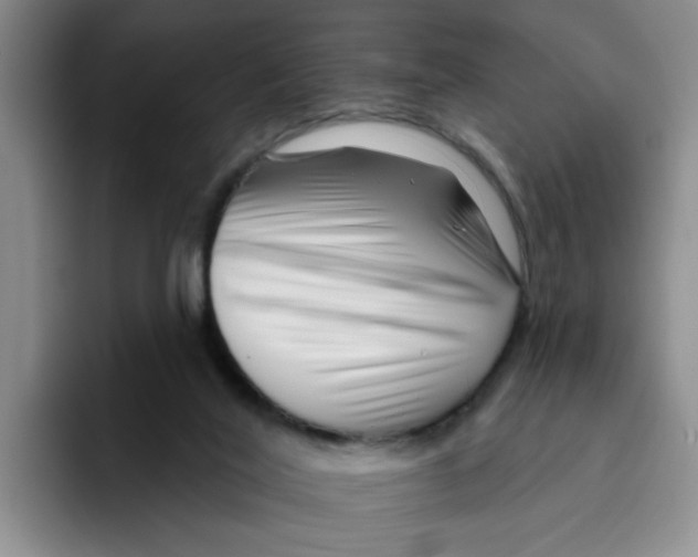 X0000096170020200802151444