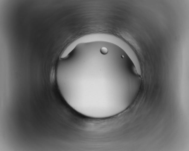 X0000096170021200802151444