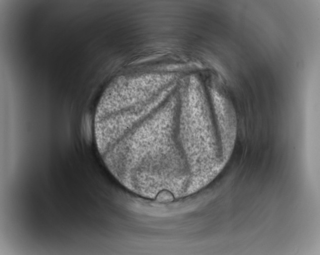 X0000096170022200802151444