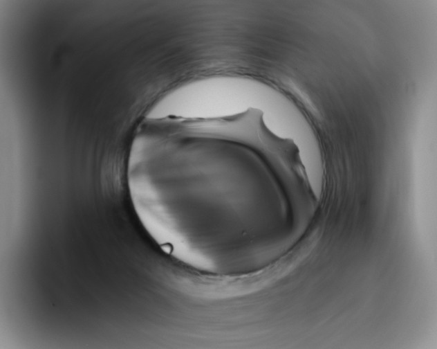 X0000096170023200802151444