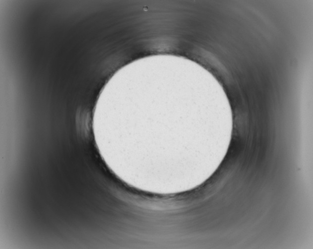 X0000096170024200802151444