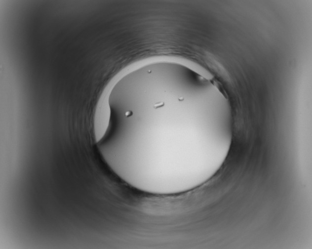 X0000096170025200802151444