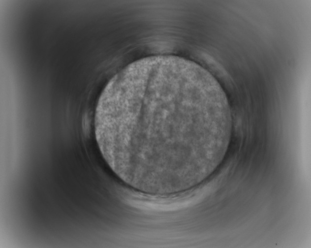 X0000096170026200802151444