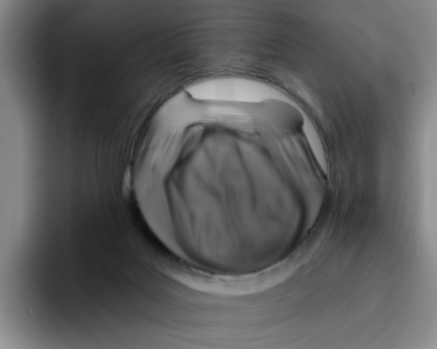 X0000096170027200802151444