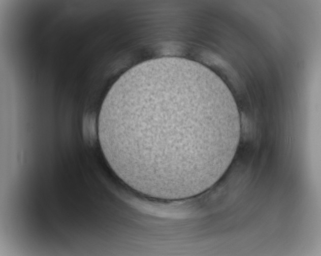 X0000096170028200802151444