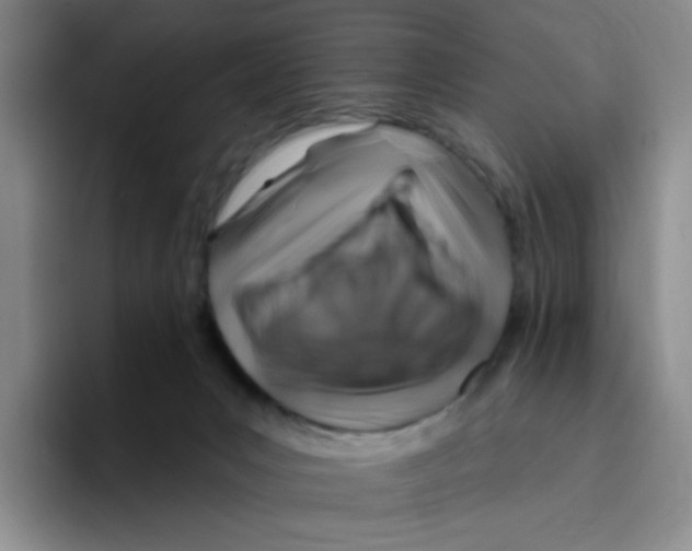 X0000096170031200802151444