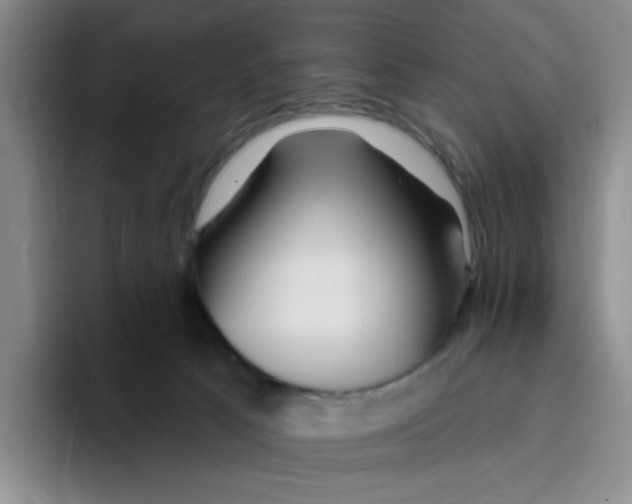 X0000096170033200802151444