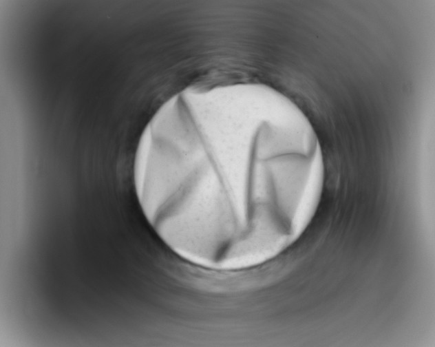X0000096170034200802151443