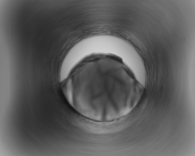 X0000096170035200802151443