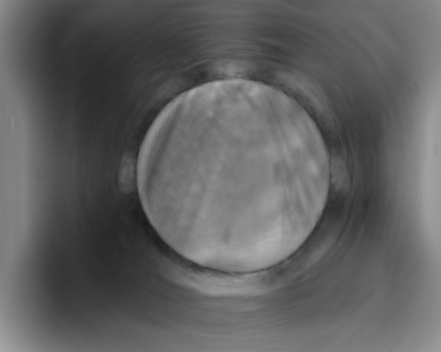 X0000096170036200802151443