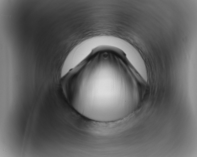 X0000096170037200802151443