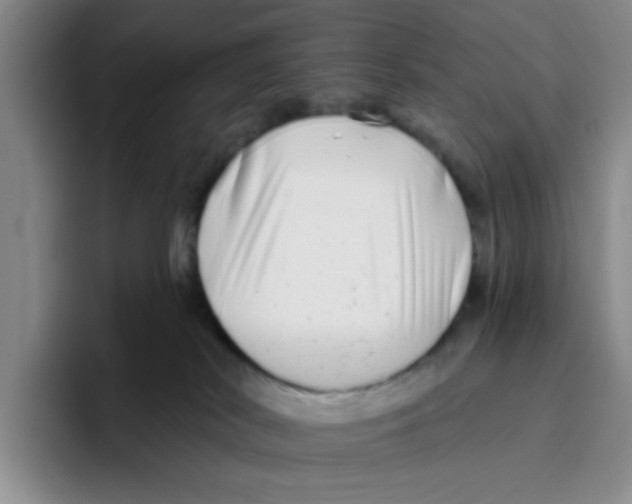 X0000096170038200802151443