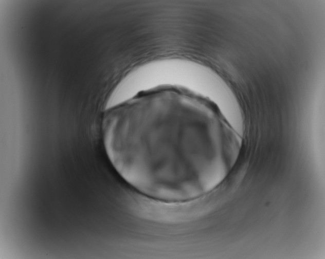 X0000096170039200802151443