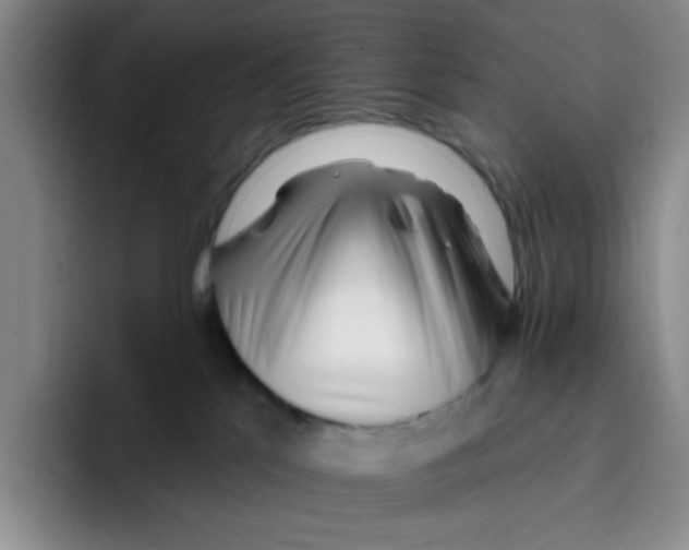 X0000096170041200802151443