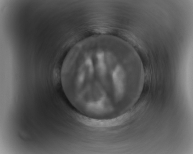 X0000096170043200802151443
