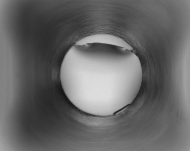 X0000096170044200802151443