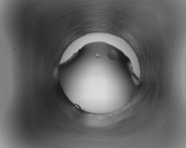 X0000096170045200802151443